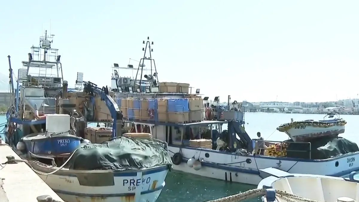 Što čeka hrvatske ribare u budućnosti? 'A ništa, propast, eto šta...'