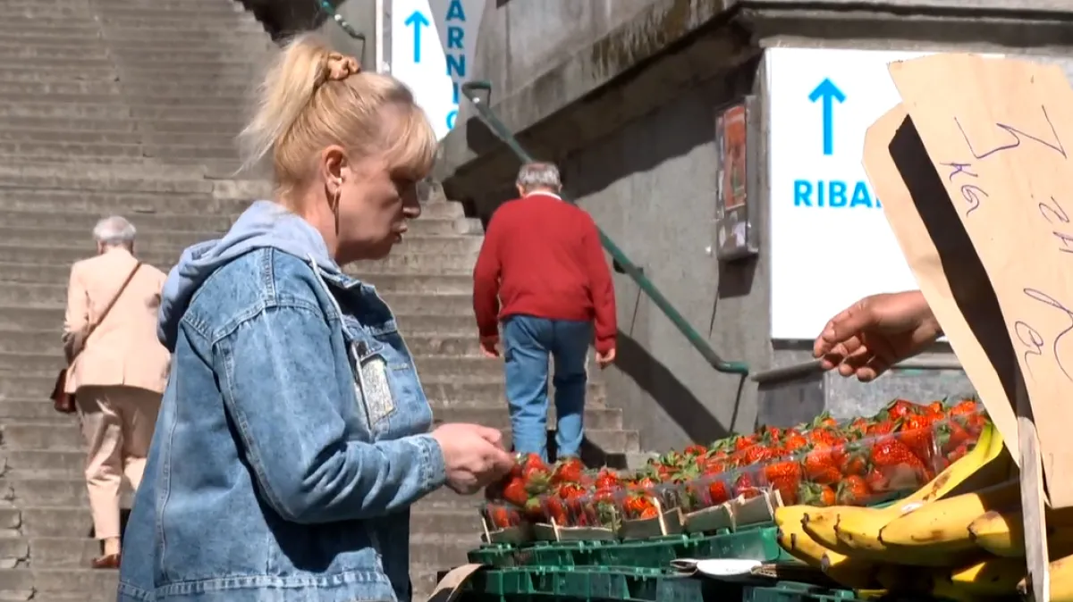 Počela sezona jagoda, ali na domaće ćemo još pričekati: 'Tako jeftine još nismo imali'