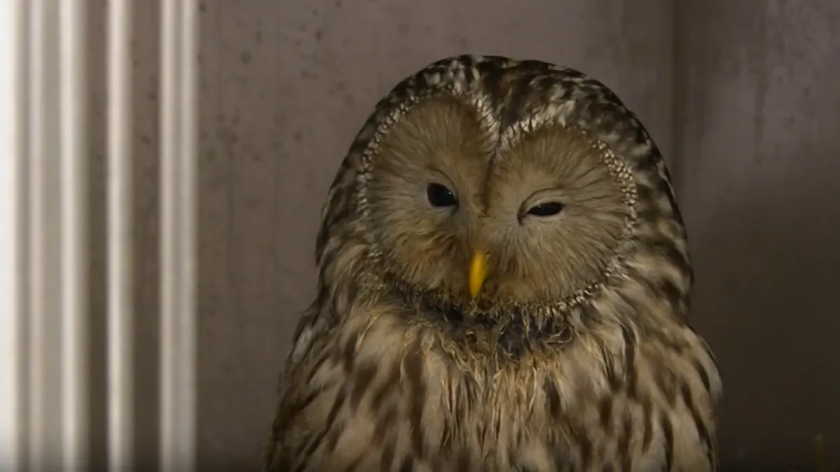 Spas za 252 životinje: Uz zahvale svim dobrim ljudima, pristiglo je i jasno upozorenje