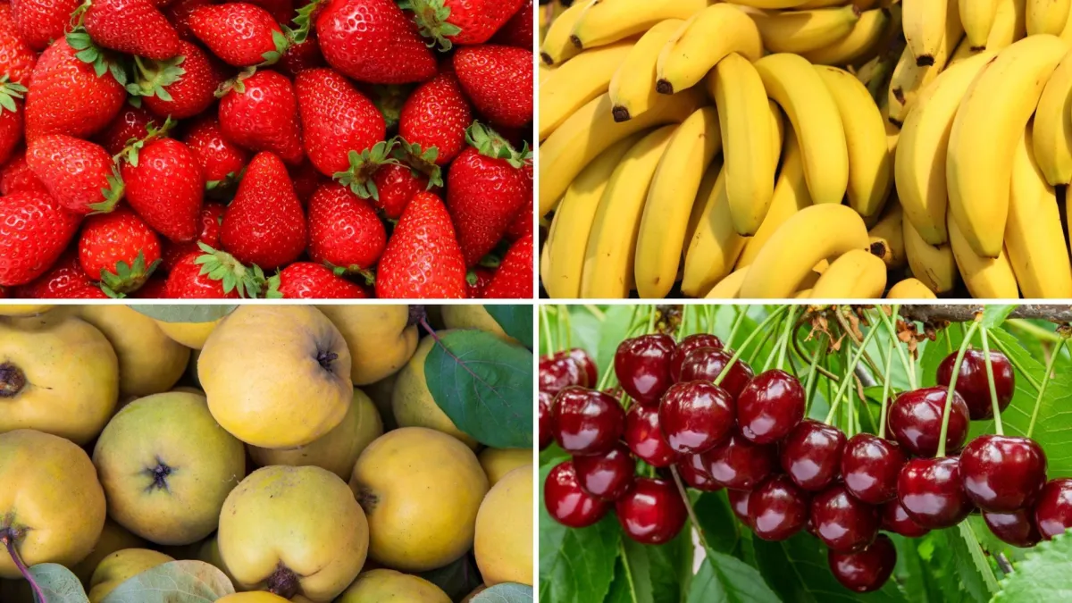 Ako slušaš domaće hitove, bez puno muke znat ćeš koje se voće krije u tekstovima: Dokaži se