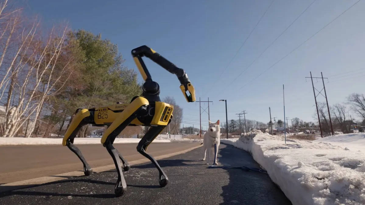 Nemate vremena za šetnju psa? On će bez problema to obaviti umjesto vas