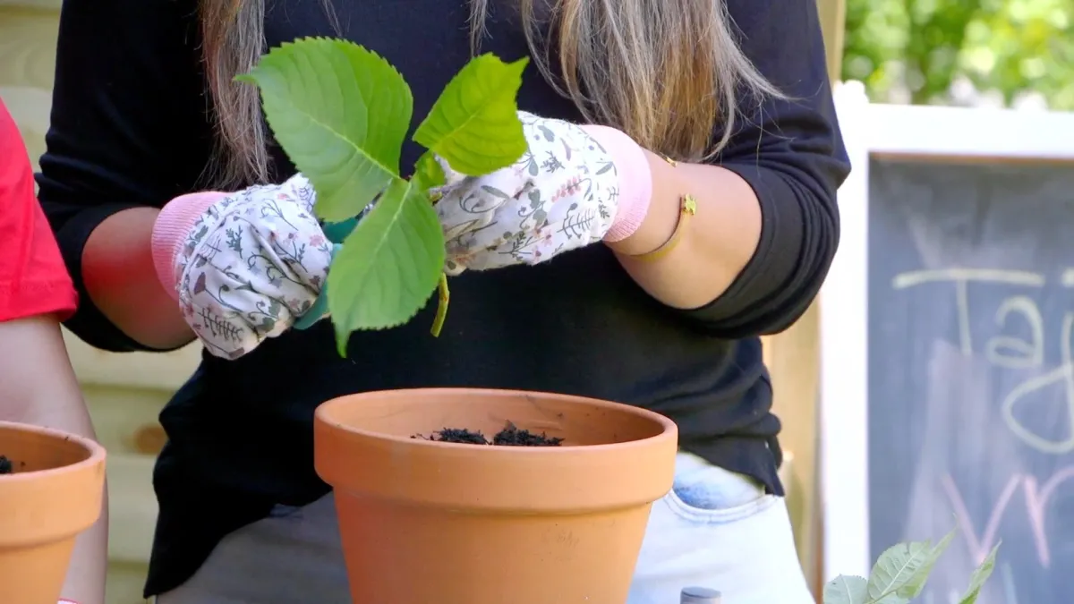 Tajne vrta: Pretvorite svoj balkon ili dvorište u proljetnu oazu za djecu