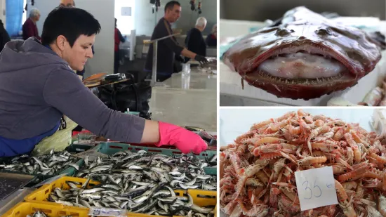 Orada 20, brancin 25, zubatac 30 eura, Pogledajte cijene ribe u ribarnici