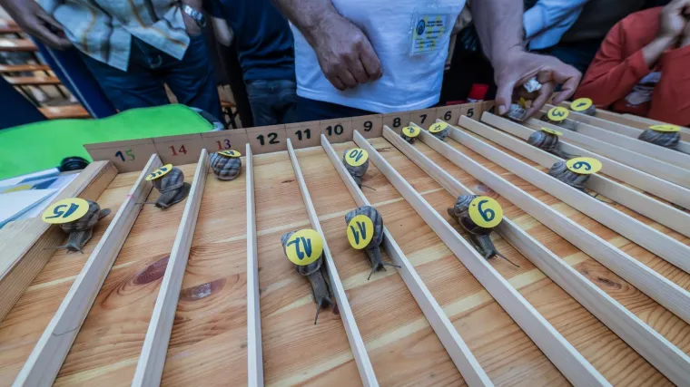 Je li ovo najzabavnija utrka u Hrvatskoj? Donosimo detalje: 'Želja nam je da postane tradicija'