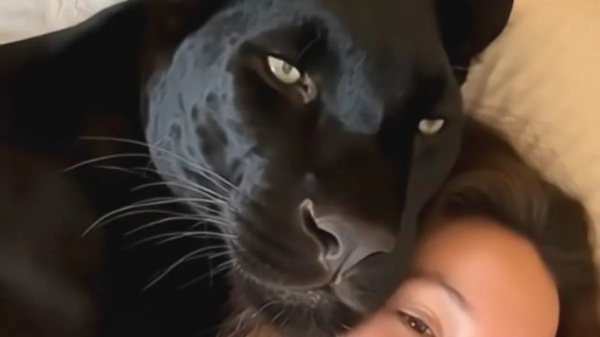 Što kažete na ovog kućnog ljubimca?