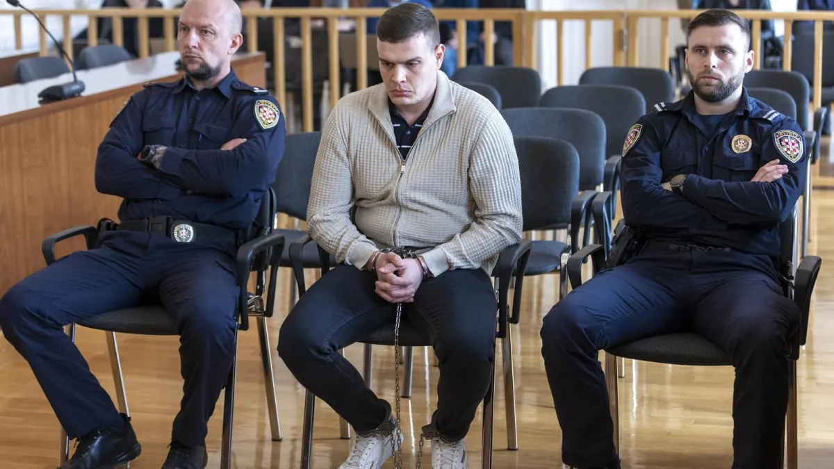 Mučni iskazi na suđenju Smažilu: Otkriveno što su policajci rekli Mihaelinim roditeljima