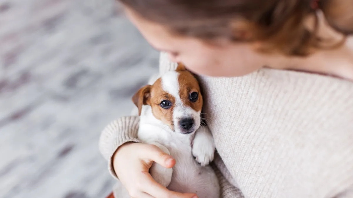 Što pasmina vašeg psa otkriva o vašoj osobnosti? Odabir četveronožnog suputnika nije slučajan