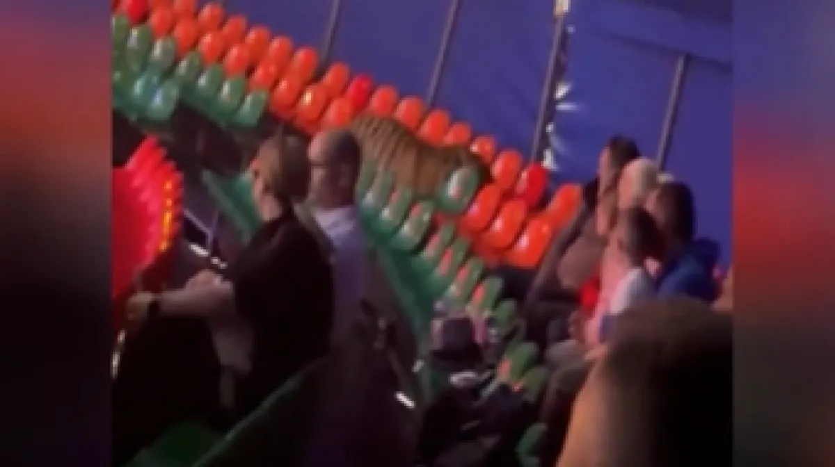 Cirkus ili horor? Tigar nije htio biti dio točke, nego je odlučio iskusiti drugu stranu