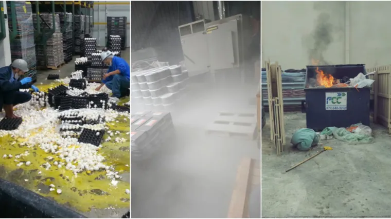 Ovi ljudi imali su užasne dane na poslu: U sekundi im se sve raspalo, prizori su grozni