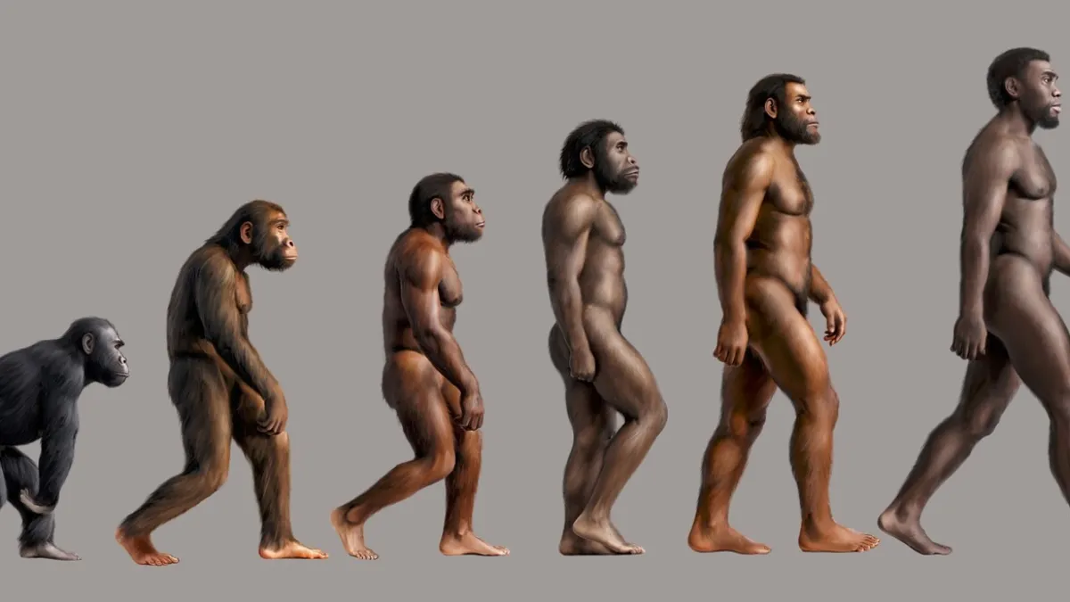 Pronađen zub koji odaje tajnu o neandertalcima: 'Nikada se nismo susreli s nečim sličnim'