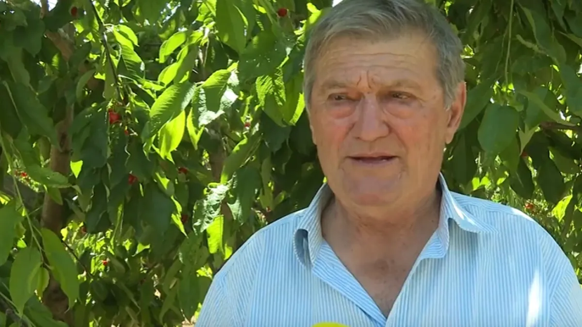 Voćar Nikola ne vidi izlaz: 'Još ova naša generacija to će držati i gotovo je više'