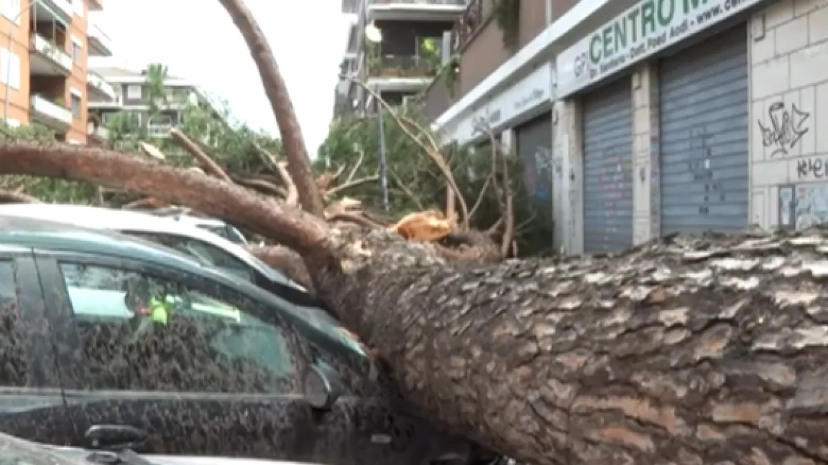 Tornado pogodio Rim! Olujni vjetar čupao prometne znakove, raznosio krovove i rušio stabla