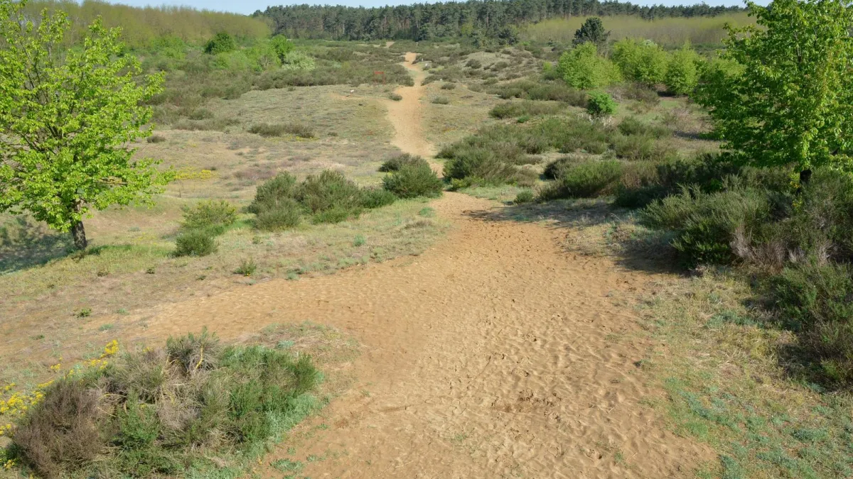 [KVIZ] Rijetki mogu imati sve točno na pitanjima o hrvatskim