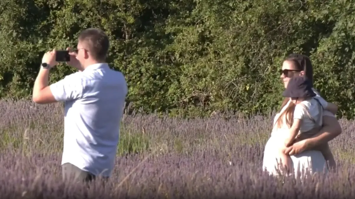 Ma kakva Provansa! Posjetili smo mirisni raj u srcu Istre: 'To je cjelogodišnji posao'