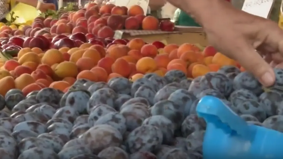 Omiljeno voće stiglo na tržnice, ovo su cijene: 'Da to preračunamo u nekadašnje kune...'