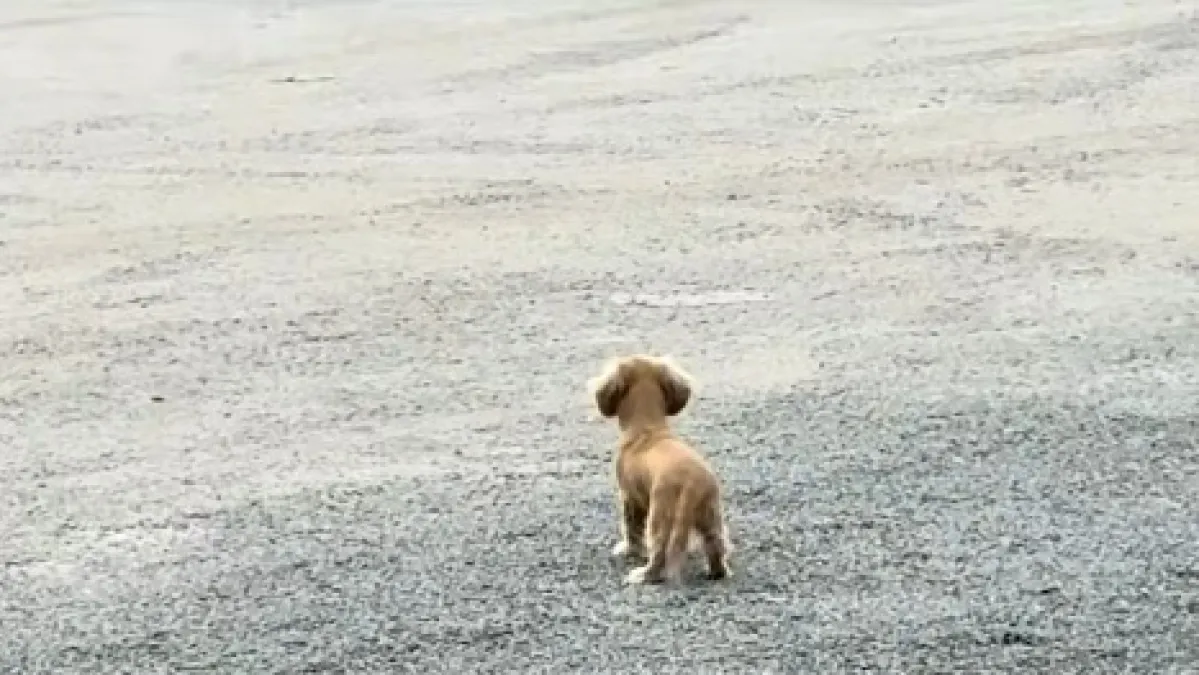 Kada napokon dočekaš svog najboljeg prijatelja