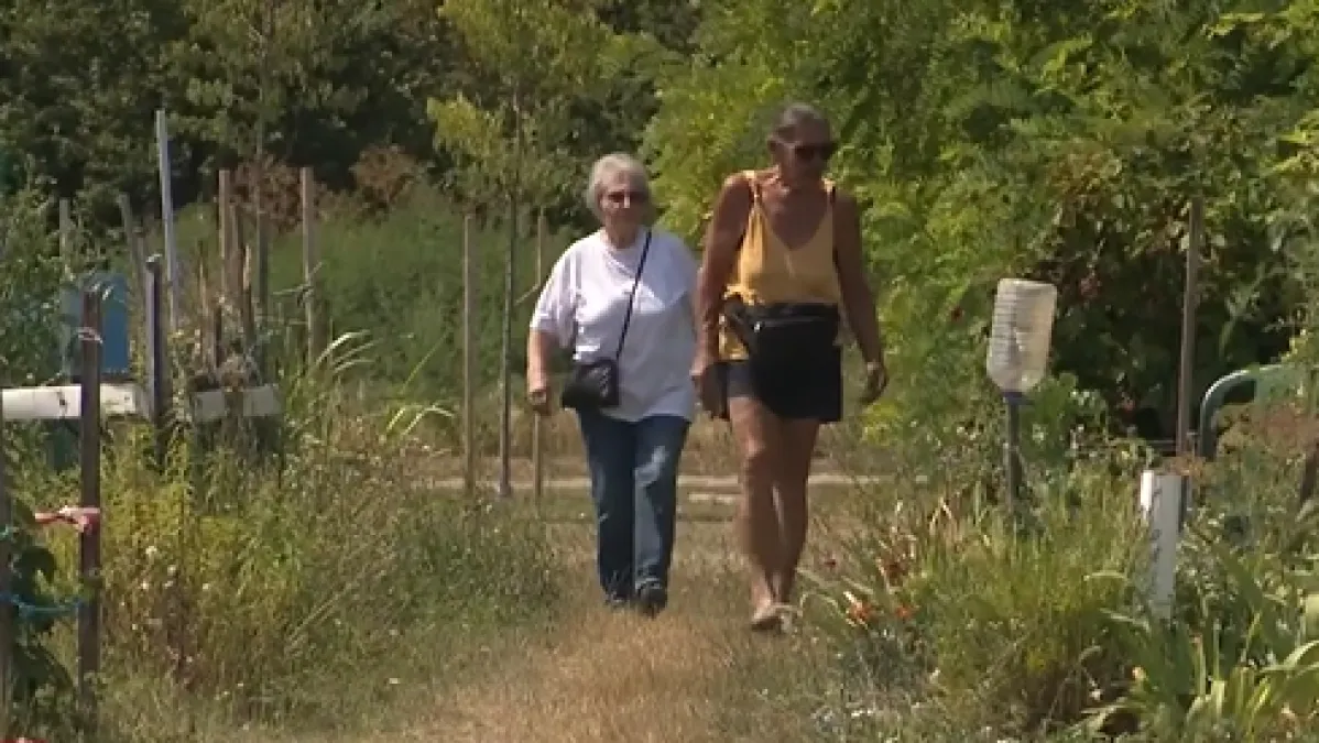 Lopovi im kradu voće i povrće: 'Susjed mi je poslao poruku da iz vrta izlazi žena'