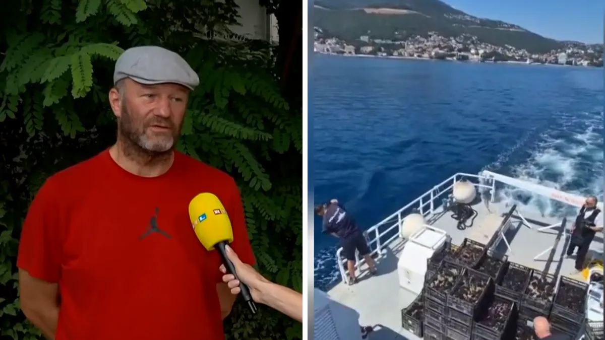 Policija spasila tonu ježinaca od krijumčara, stručnjak otkrio istinu: 'Većina je vjerojatno uginula'