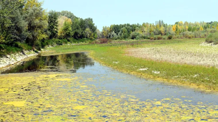Nevjerojatni prizori na Dravi: 'Cijeli život sam tu, ali tako niska voda nikad nije bila!'