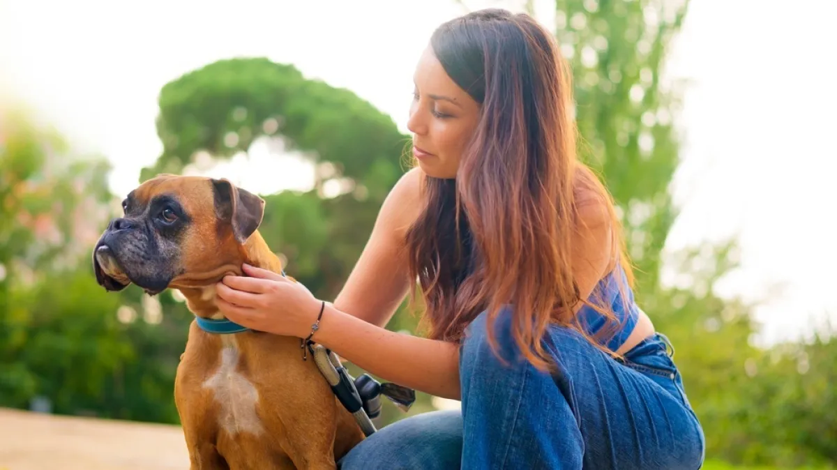 Veterinarska tehničarka upozorava: Ovo su znakovi da je vaš pas zadobio opekline od sunca