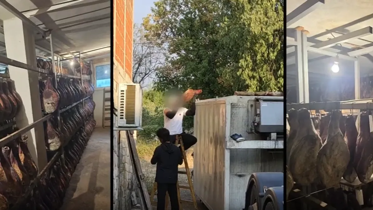 Imamo snimke ilegalne pršutane kod Drniša: Inspektor otkrio gdje su pršuti trebali završiti