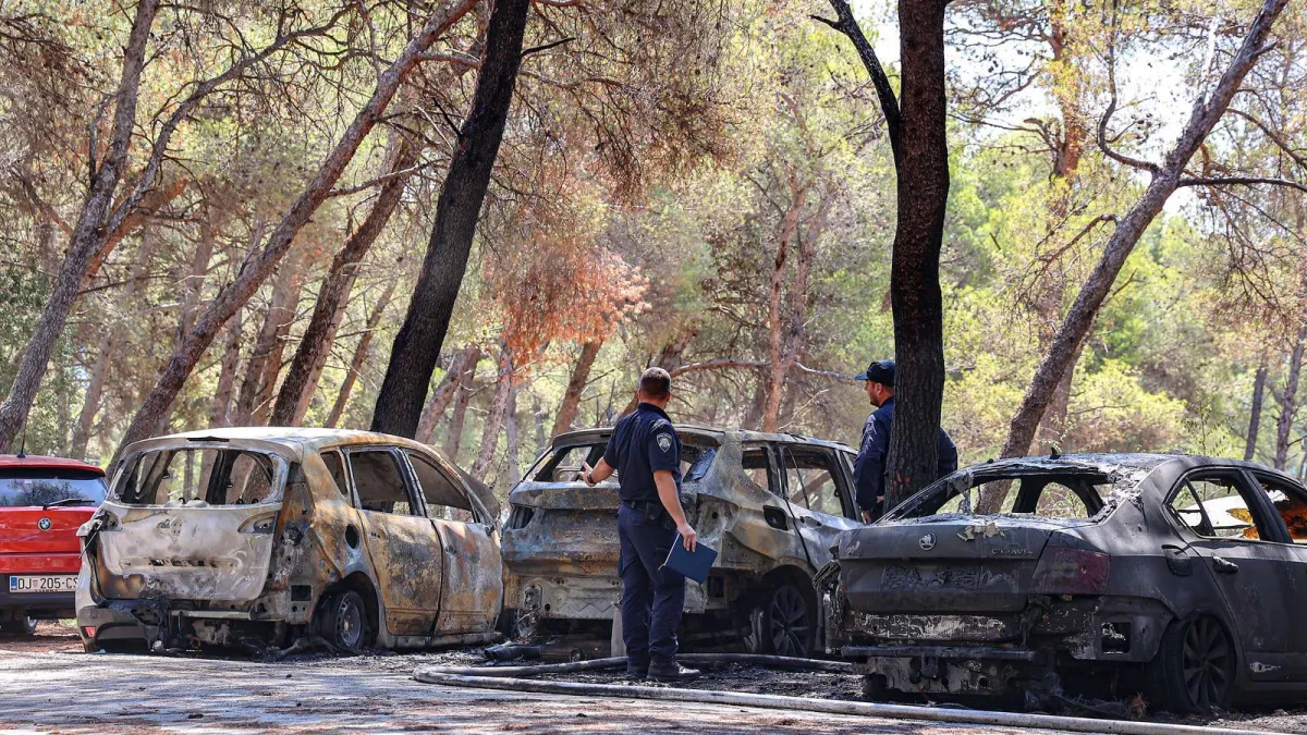 Požar u Segetu Donjem: Potpuno izgorjela tri vozila, vatrena stihija zahvatila i borovu šumu