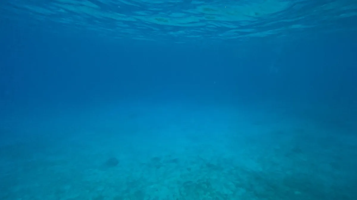 Pogledajte ovaj zaron! Mađarica na Lastovu postavila svjetski rekord na 107 metara