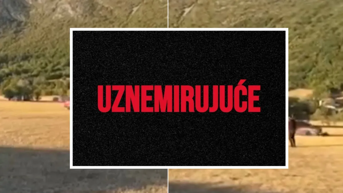 Dvoje uhićeno, policija traga za još dvojicom nakon užasa u Hercegovini: 'Ovo je kukavičluk'