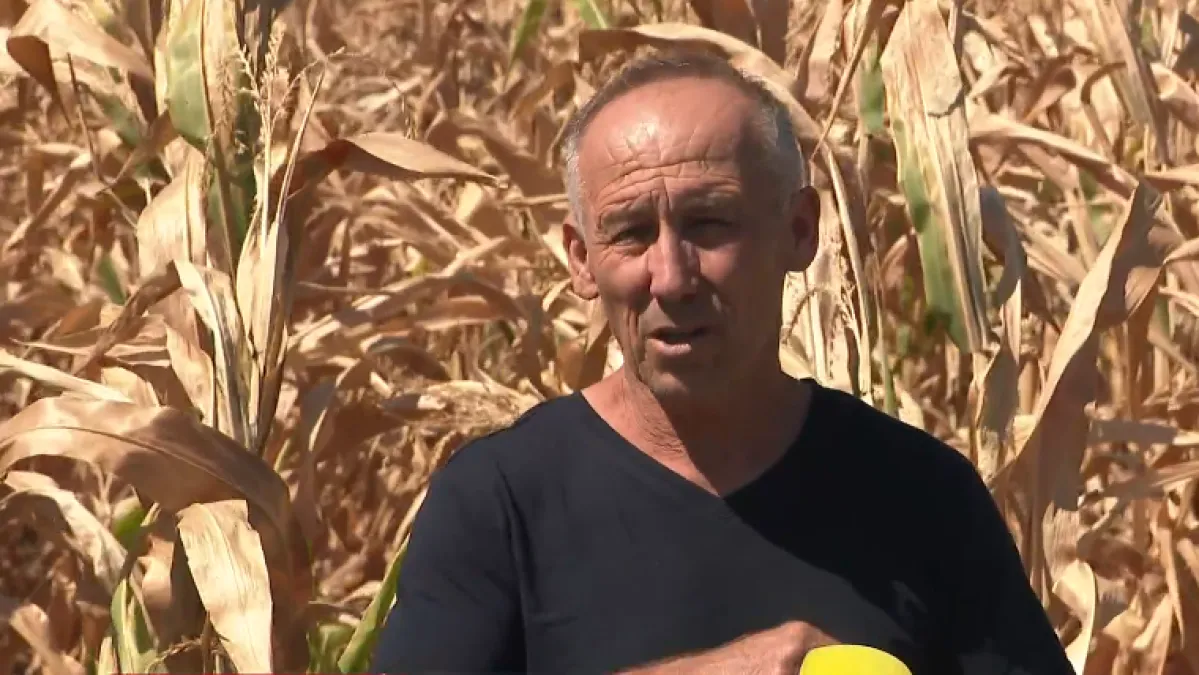 Ratari pokazali računicu koja ih baca u očaj: 'Cijene ravna crta, kao kad srce prestane kucati'