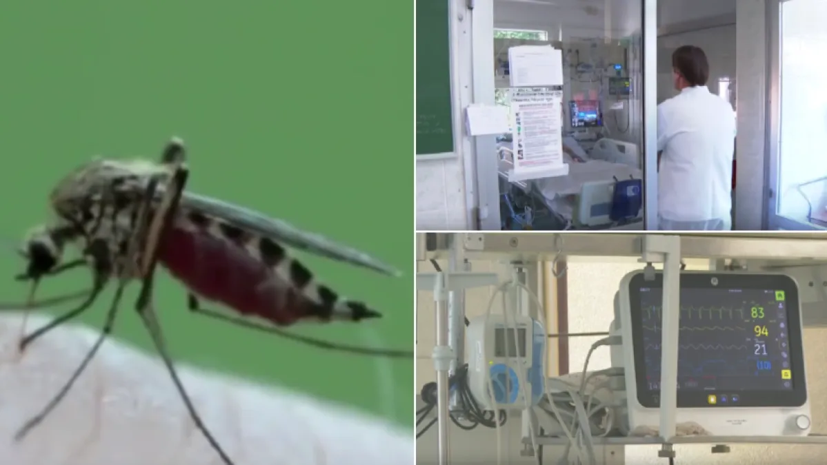 Virus Zapadnog Nila širi se Zagrebom: Od četvero pacijenata dvoje je na intenzivnom liječenju
